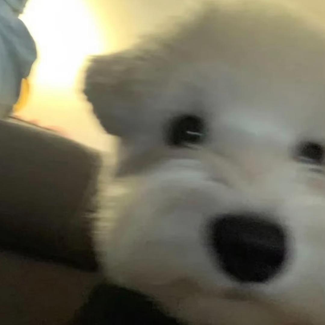 ︋︅ㅤ︅我的牙好疼