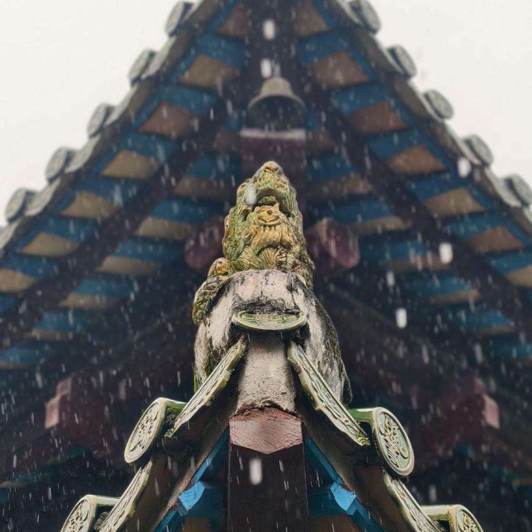 小梁同学🧑‍🎓