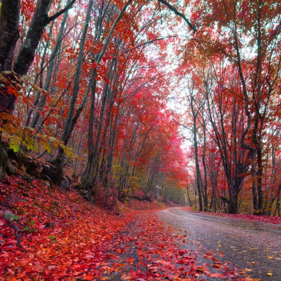 ℋღ᭄英姐🍒᭄💞࿐: