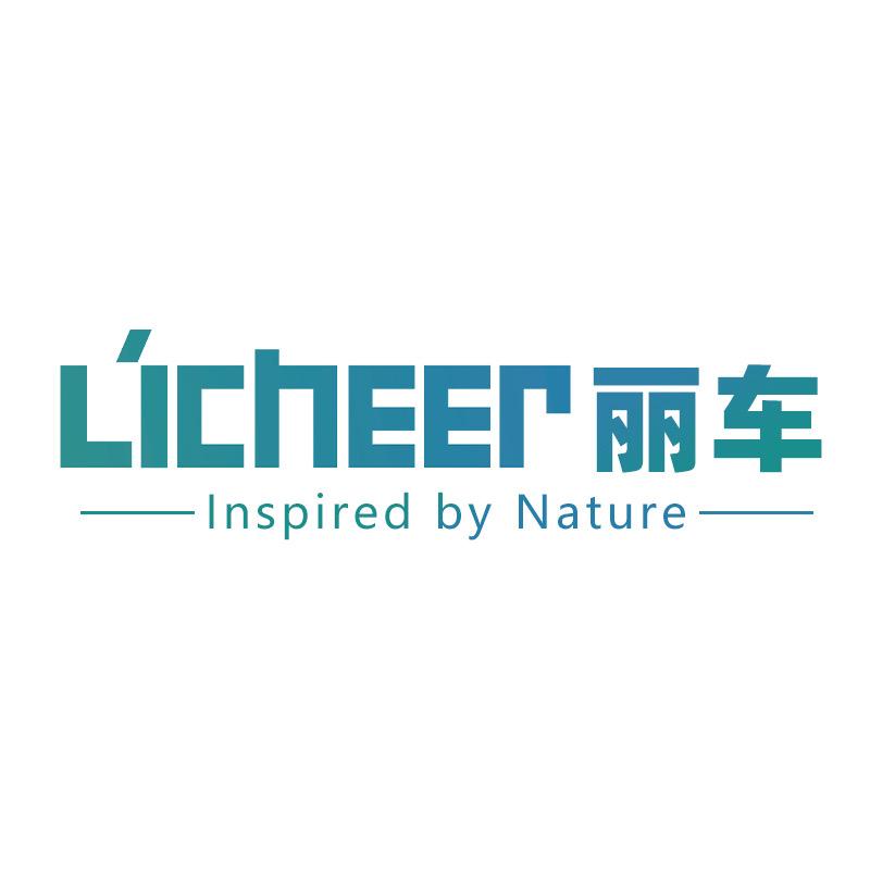 丽车家居石晶地板墙板