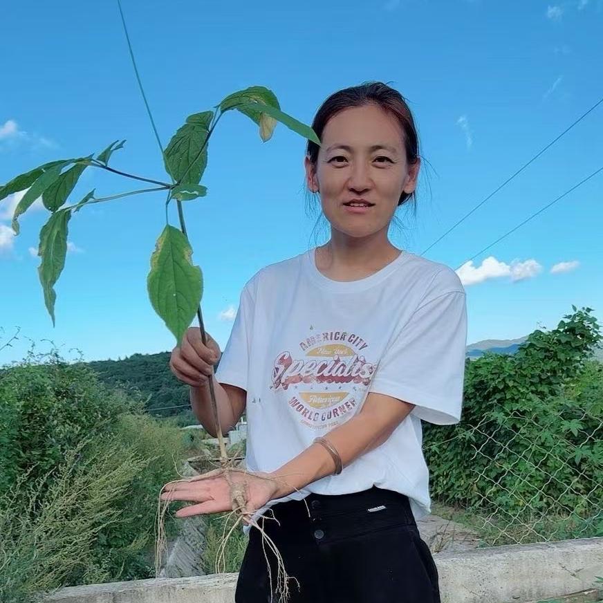 长白山喜宝甄选参乡古坊