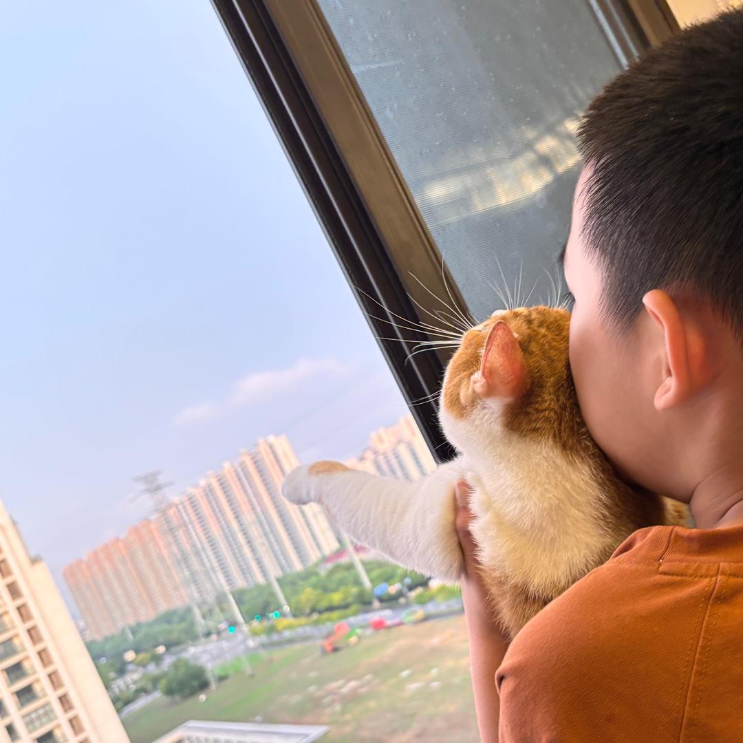 樱桃大丸子萌宠