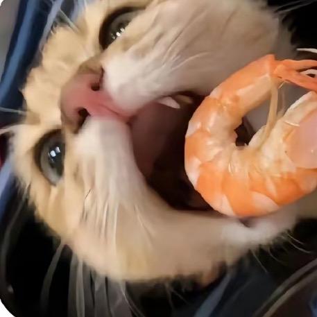 wnnn-
