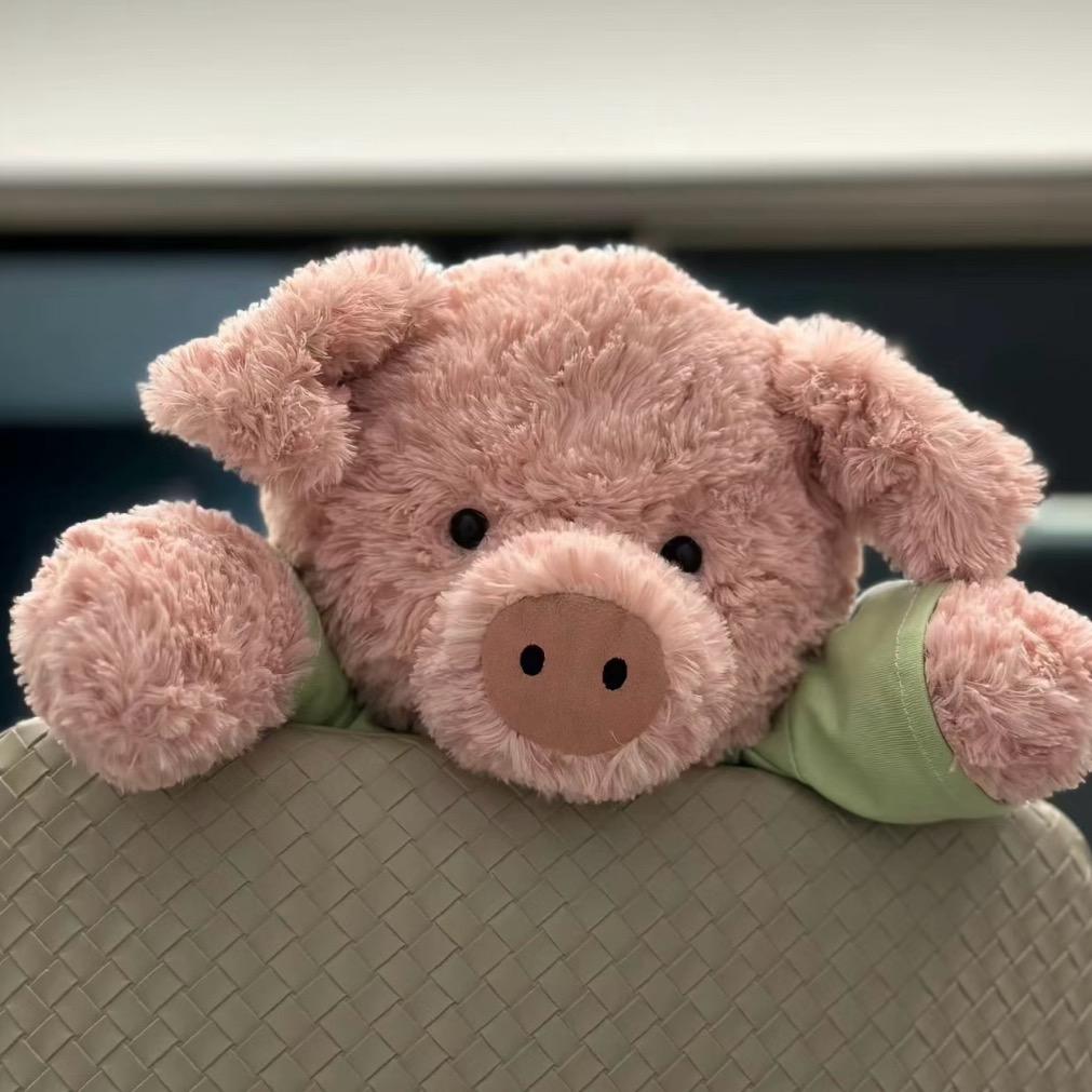 皮皮🐷