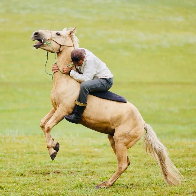 Борнууд·Уудам-TikTok
