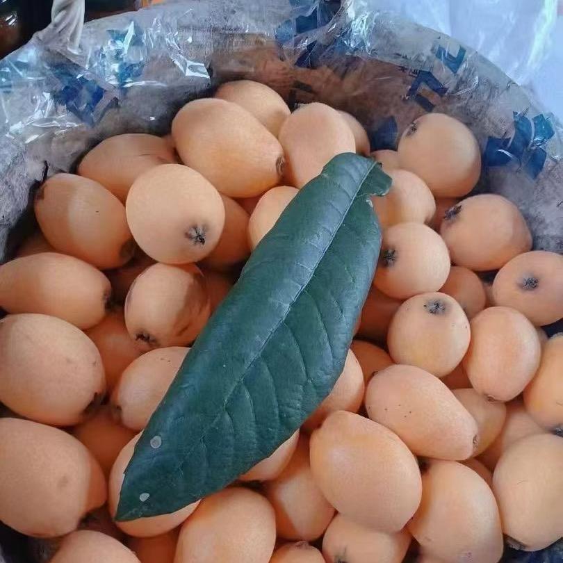 渐渐