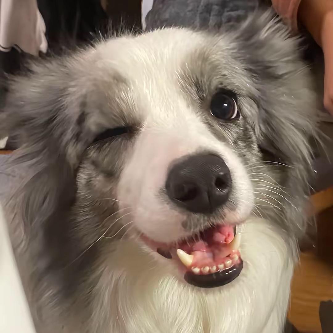 西红柿鸡蛋汤