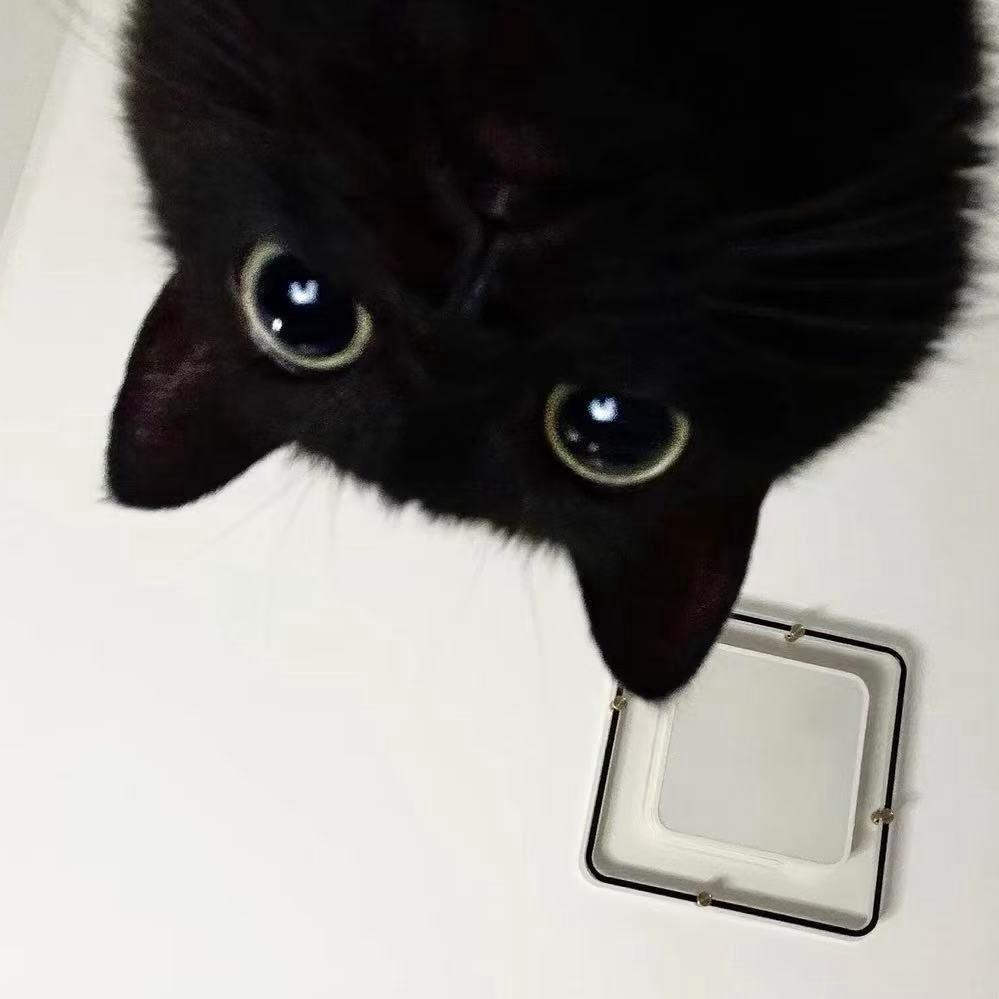 🌚