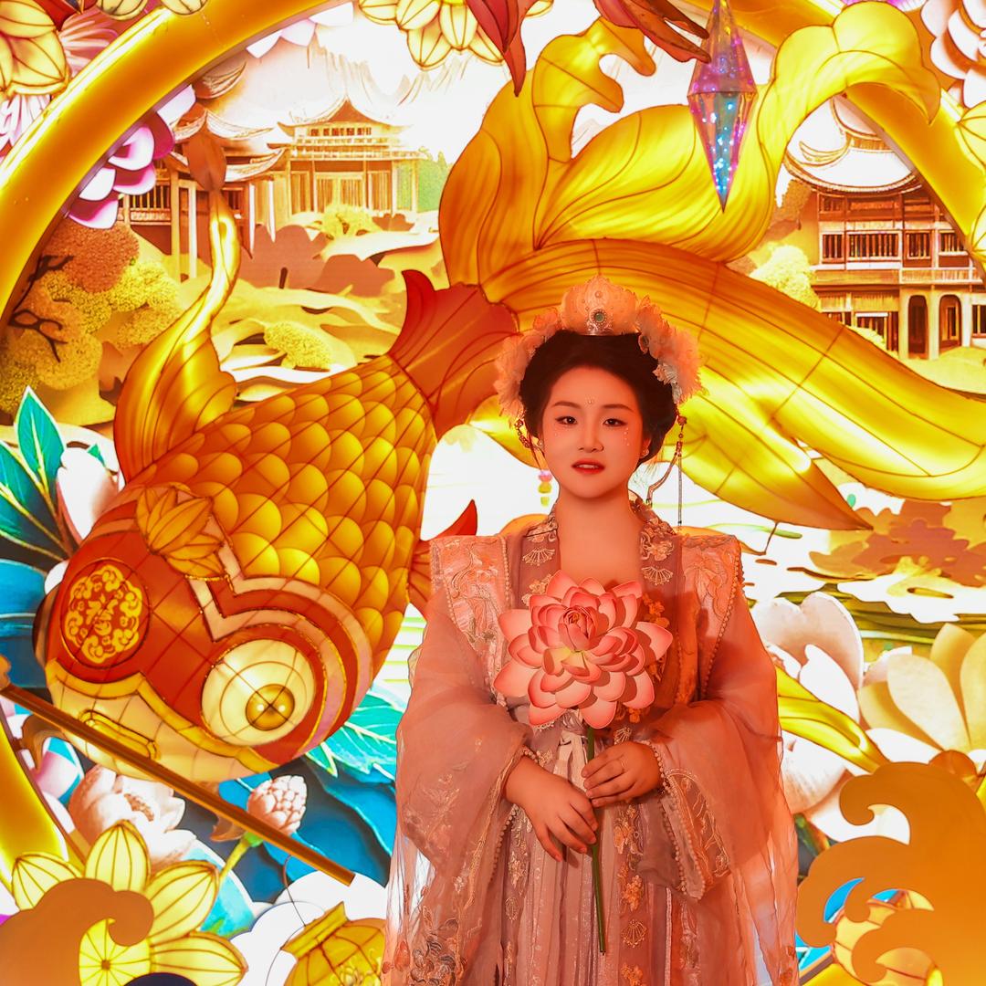 🪷杨小杨🪷
