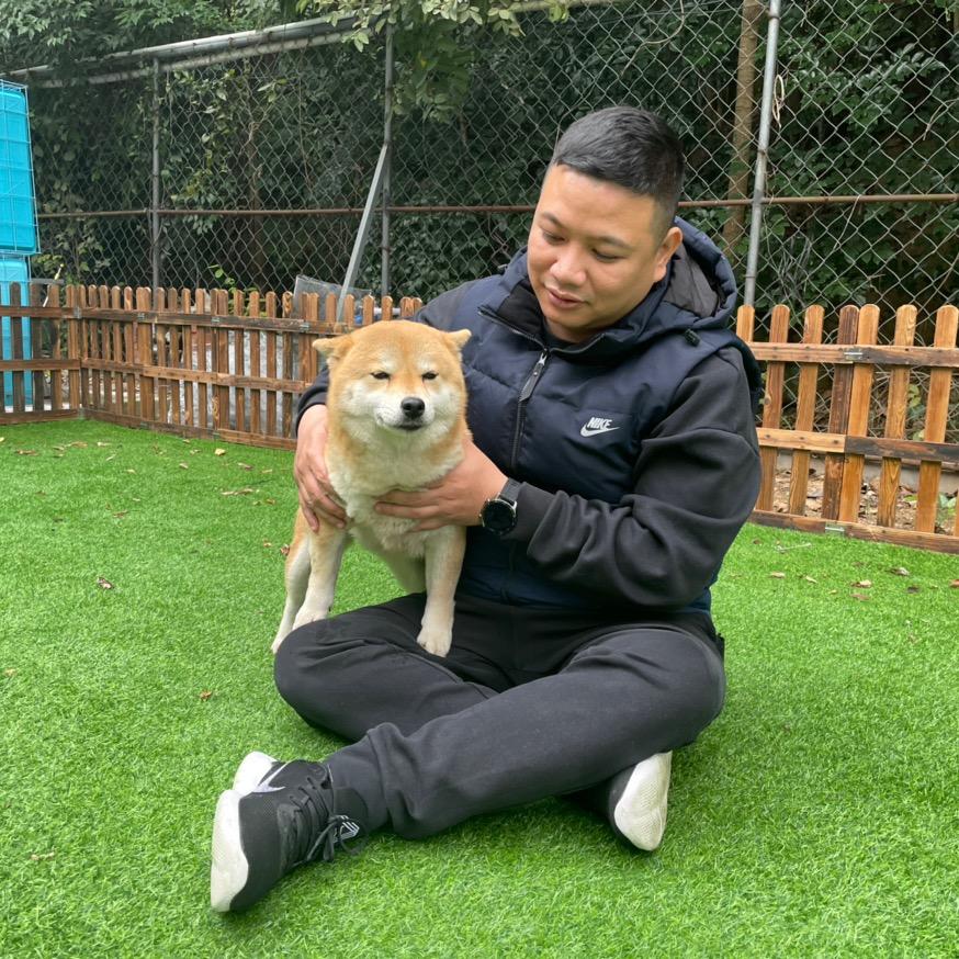 南山区狗场犬舍宠物基地