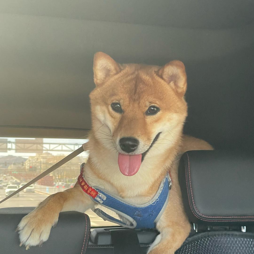 爱打游戏的男人