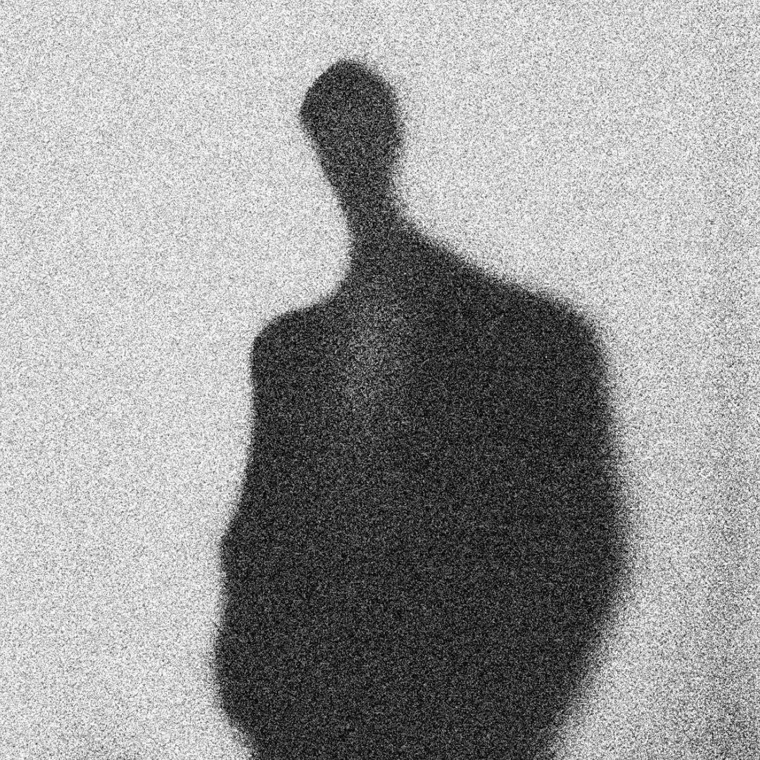 隐藏的贵族用户