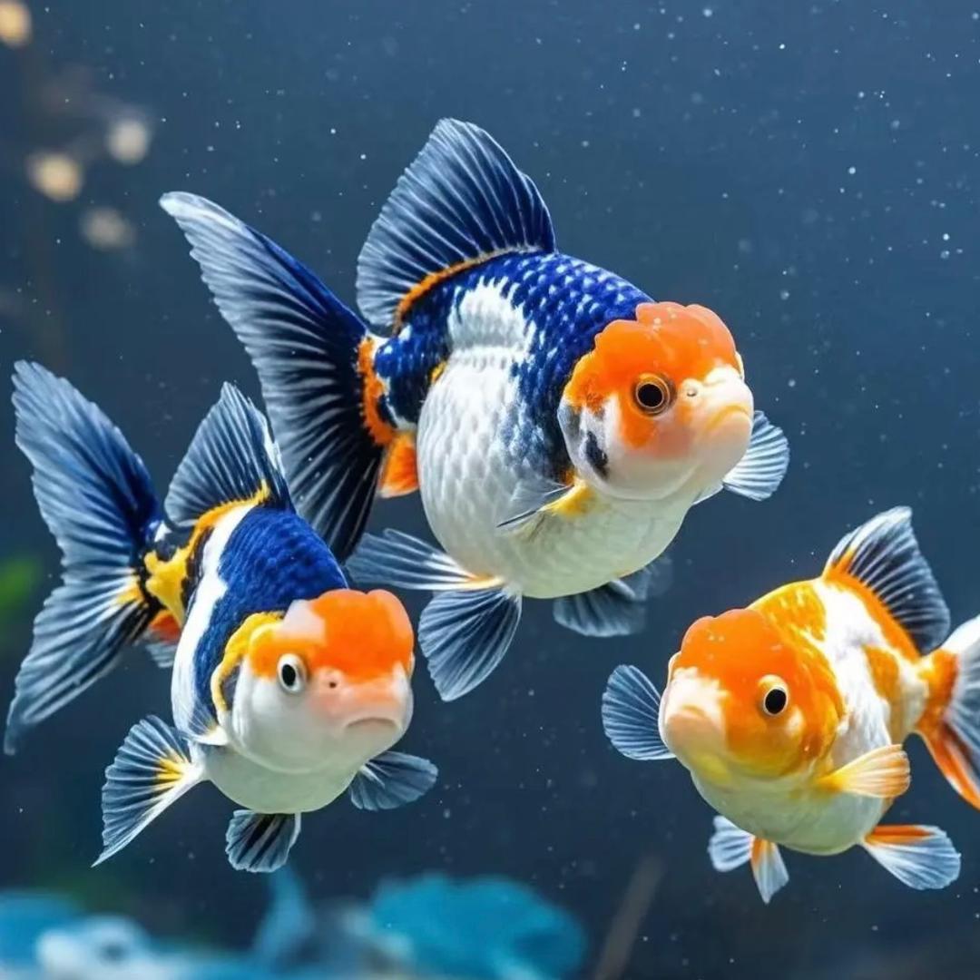 福州市鼓楼区微风细雨贸易商店（个体工商户）