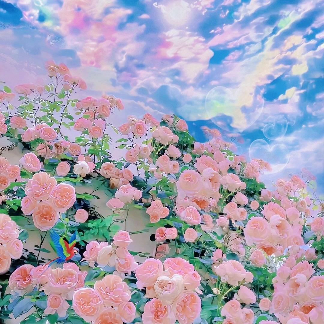 有她有他