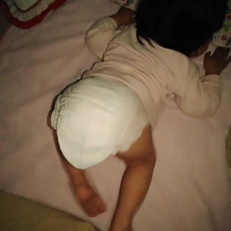 汇元甲（甲鱼小铺）