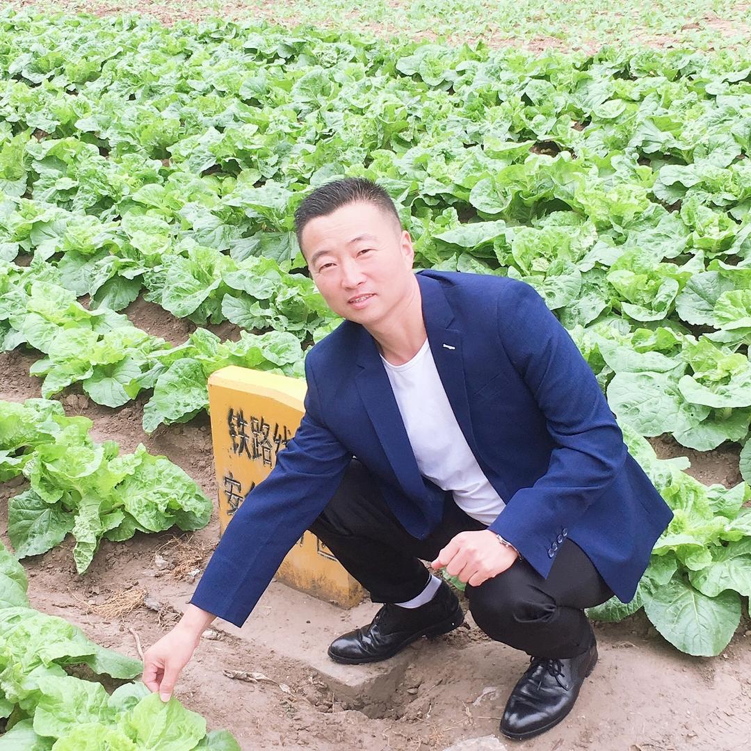 支总谈连翘