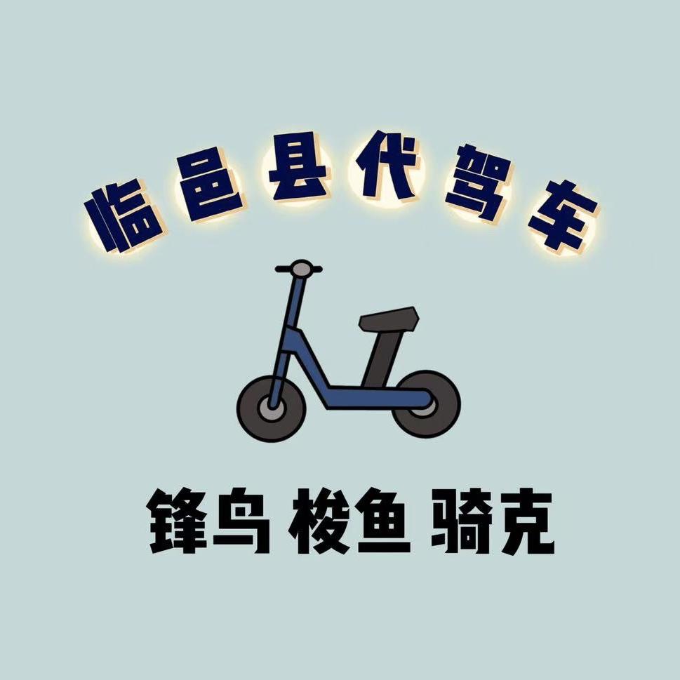 德州临邑锋鸟、梭鱼代驾折叠电动车
