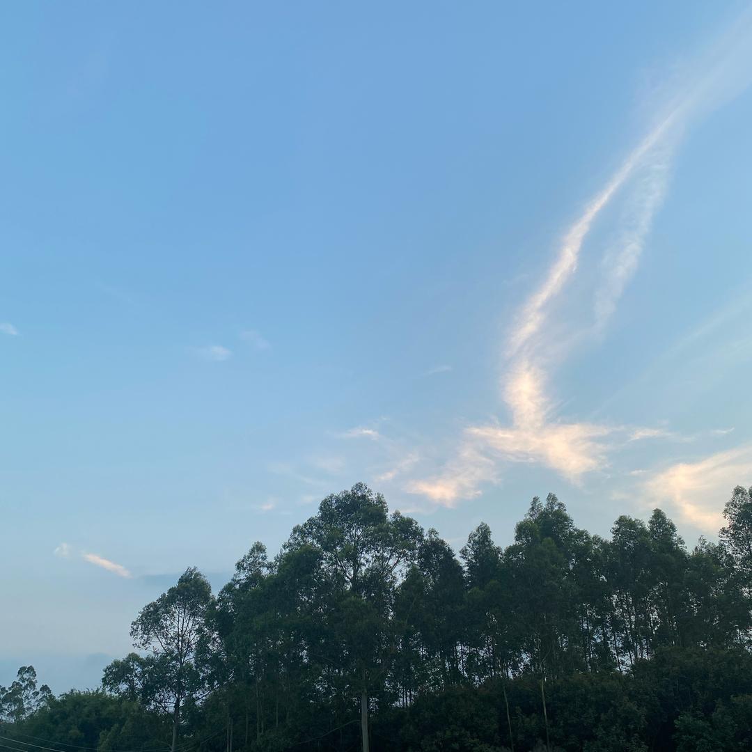 难得糊涂ⅹ ᵐᵈ