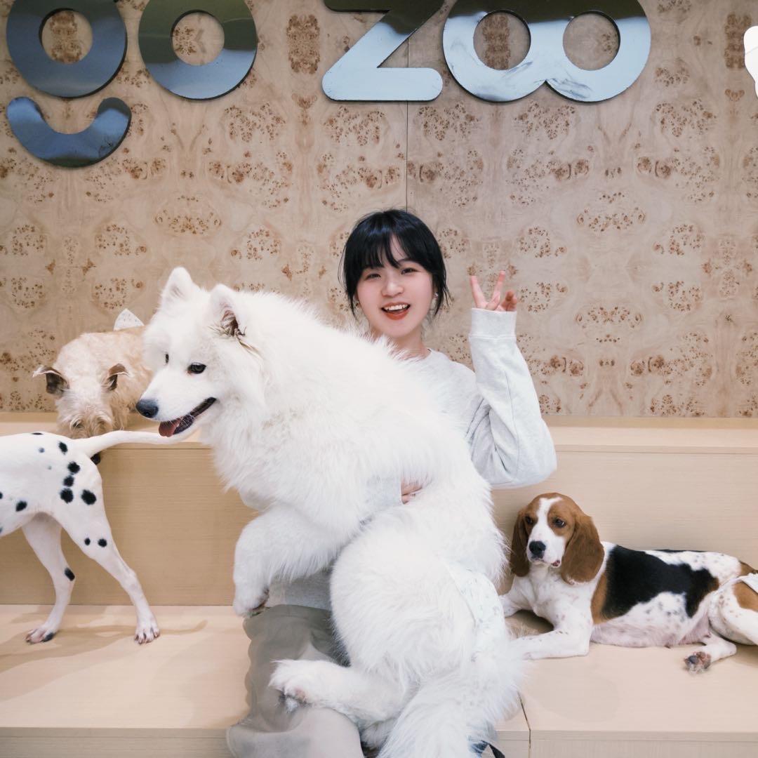 fairyjing🧚‍♀️