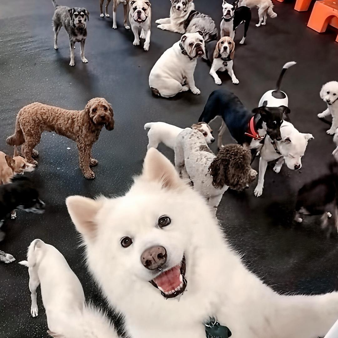 𝓩𝓱𝓪𝓲𝔁𝓲𝓷𝔂𝓾𝓮