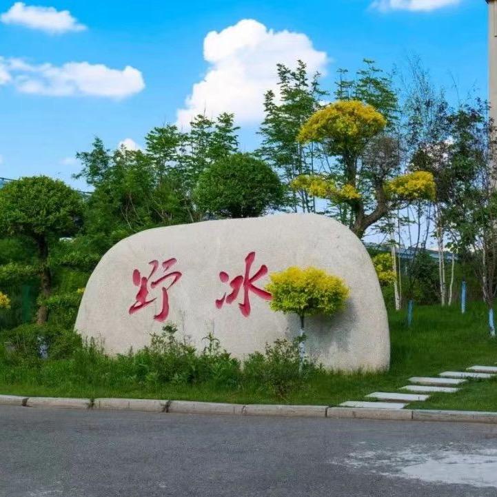 现服新媒