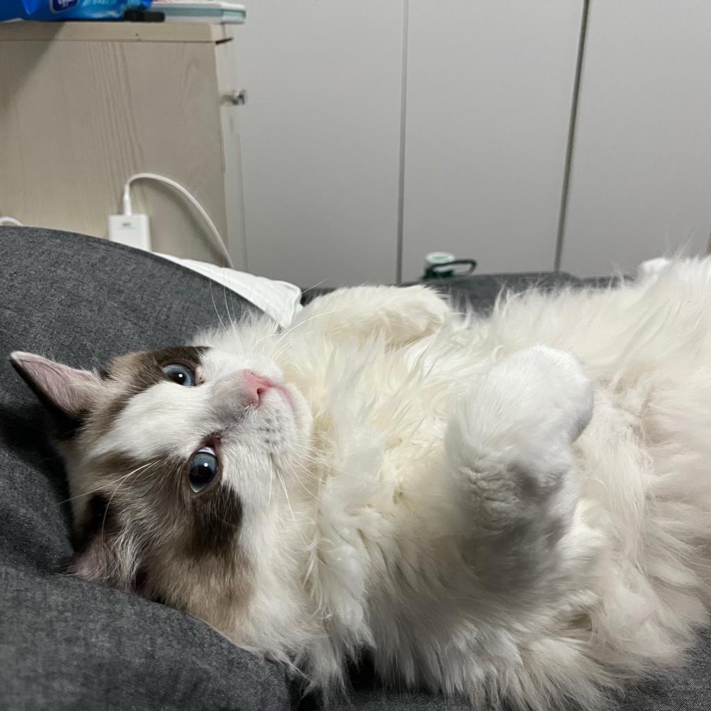 ZzZzZzZzZz