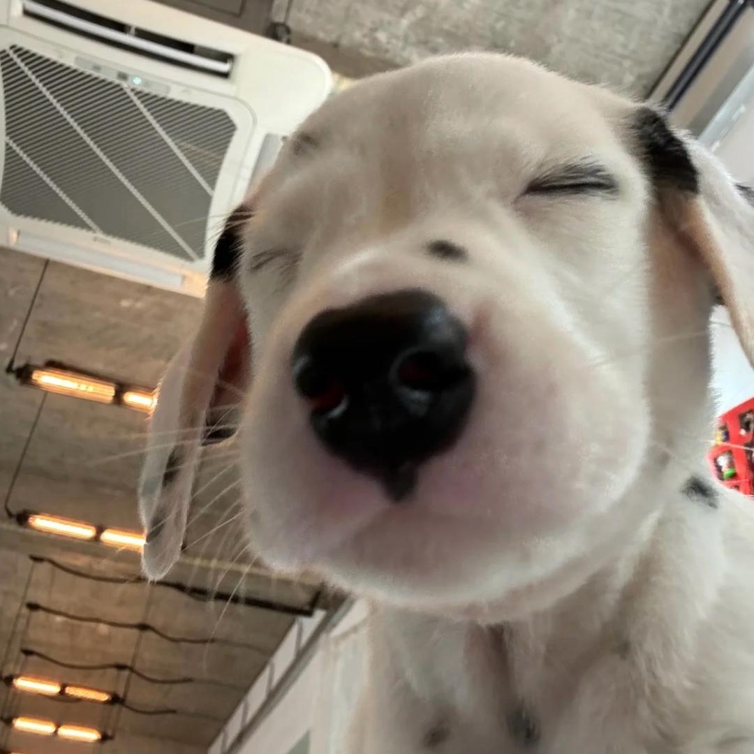 我是一颗🧚‍♀️糖🍬