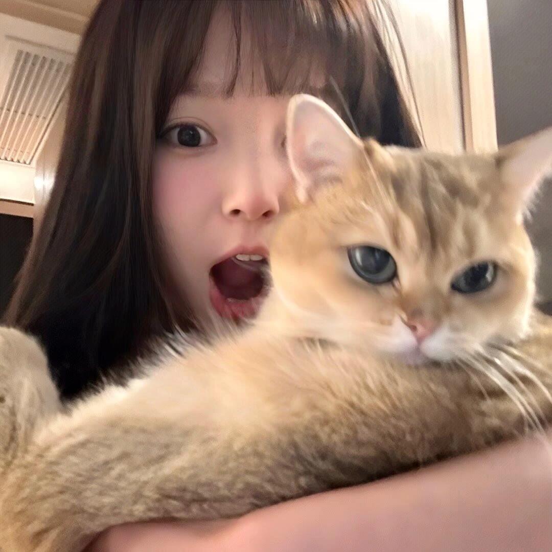 爱打喷嚏