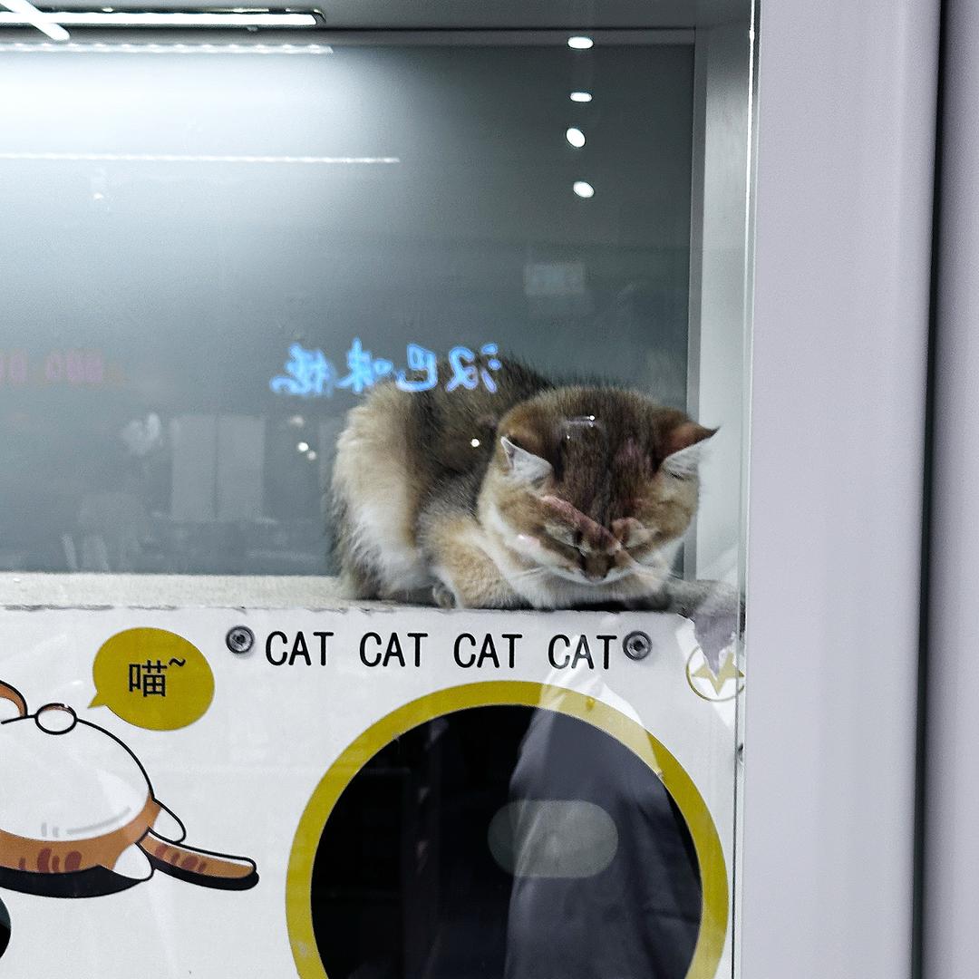 我想想咋整