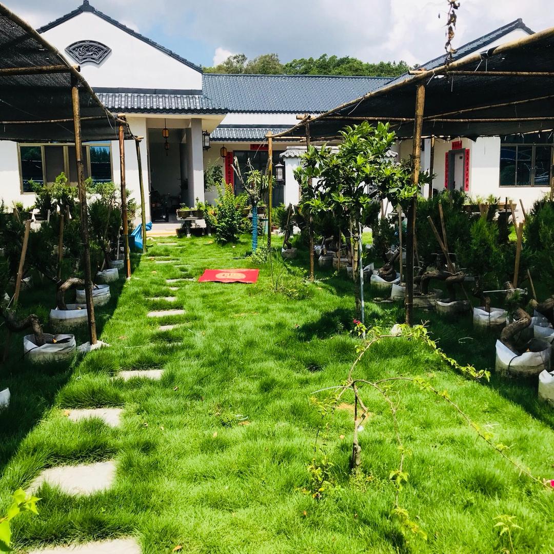 万家同庆