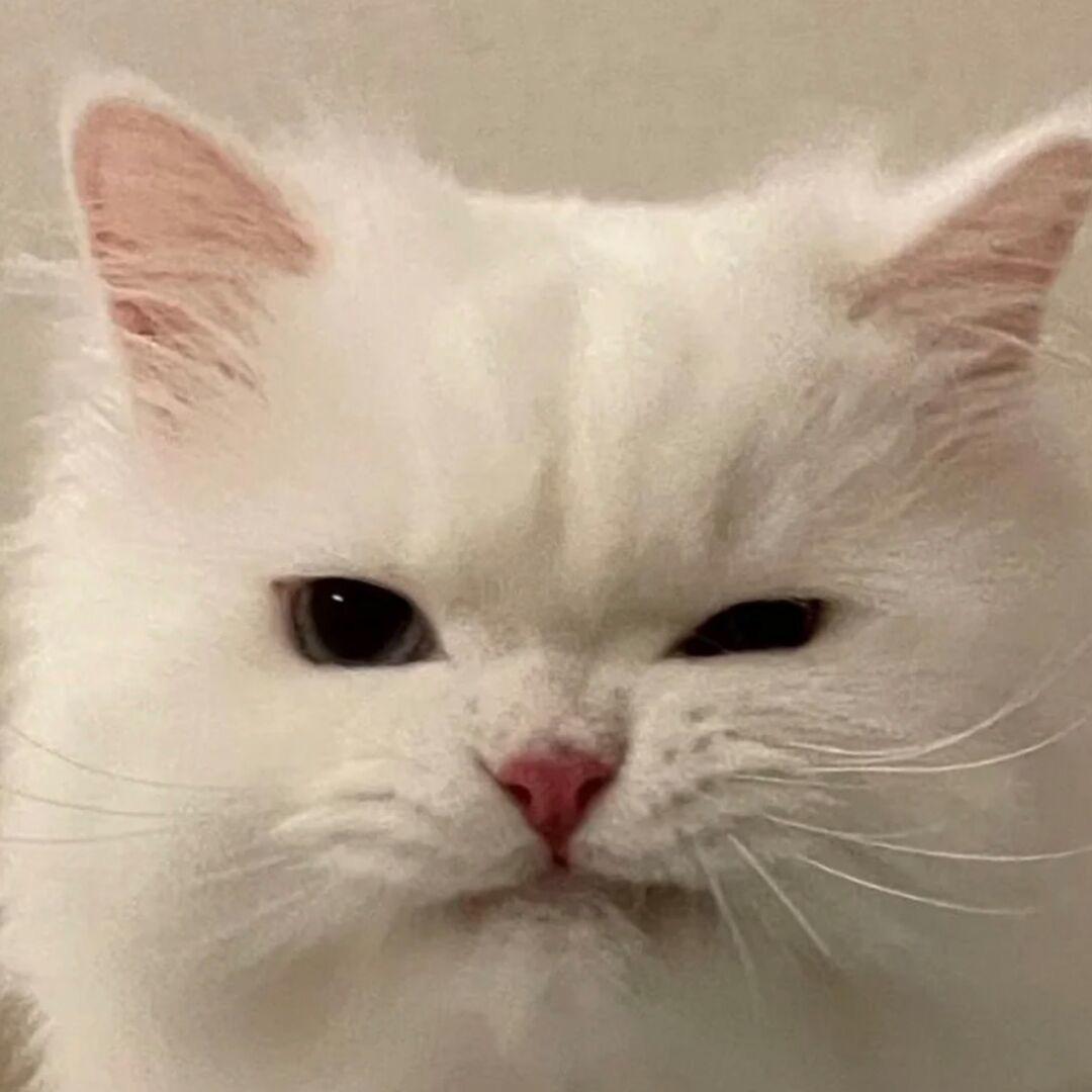•-•