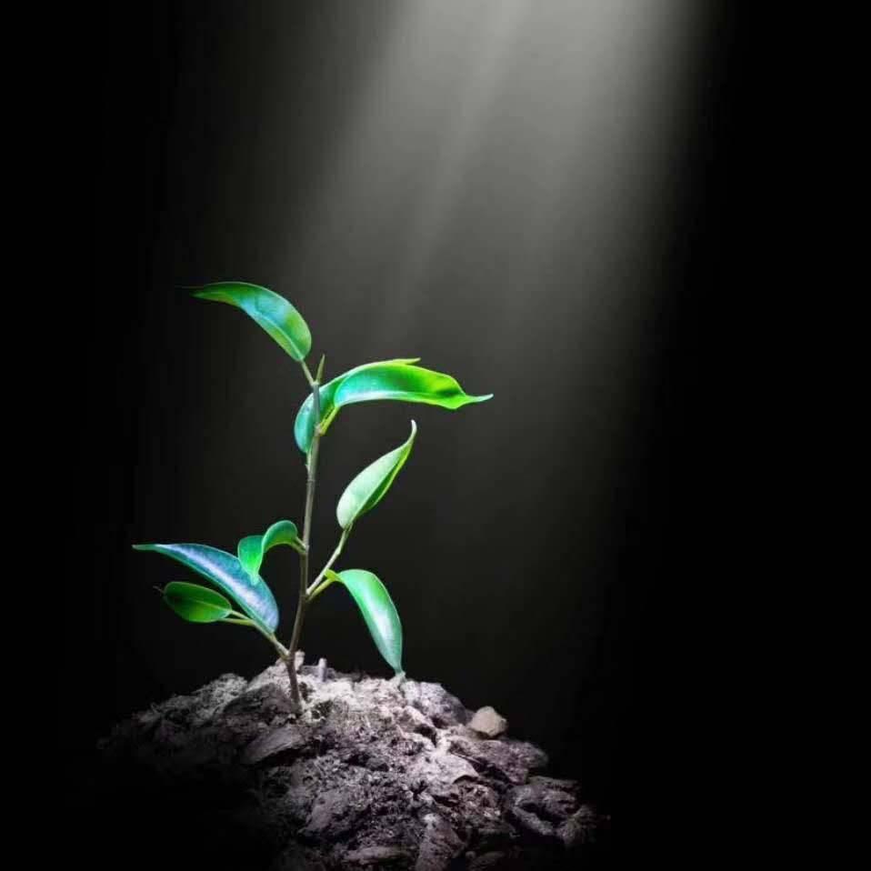 ࿐འདམ།当པ།巴