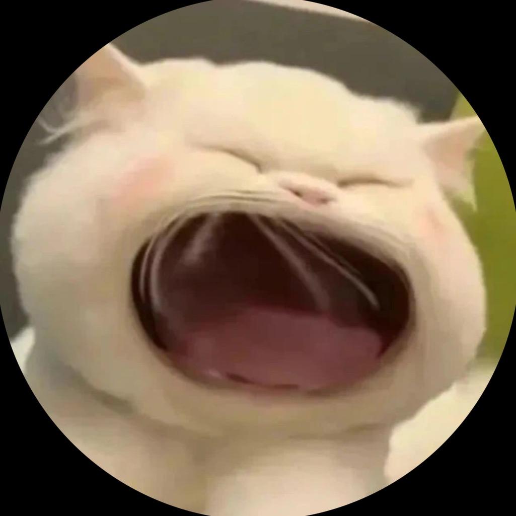 一只元气静