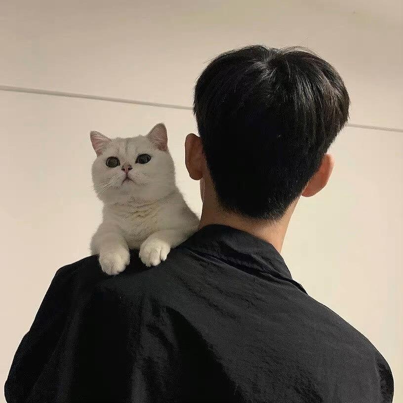 小蜜蜂（六边形战士）