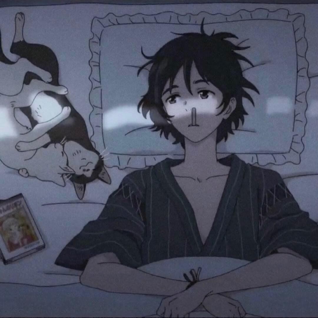那些花儿🌓