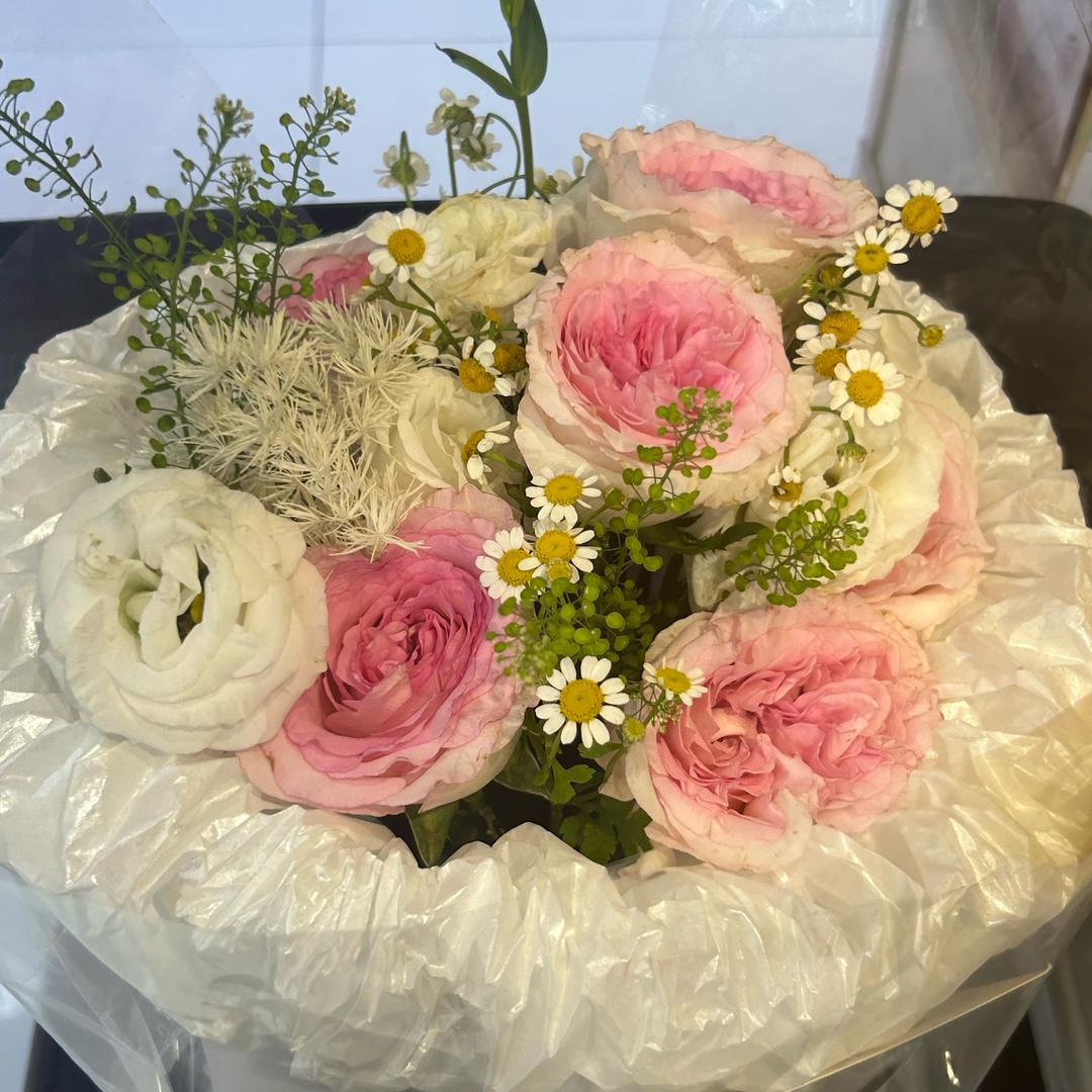 漆园宝洁九店李红梅漆园宝洁