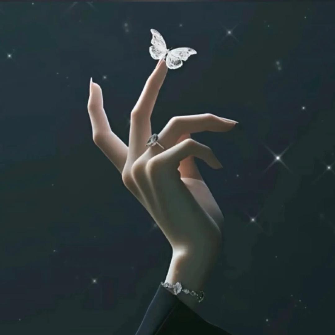 🦋ᝰꫛꫀꪶಇ