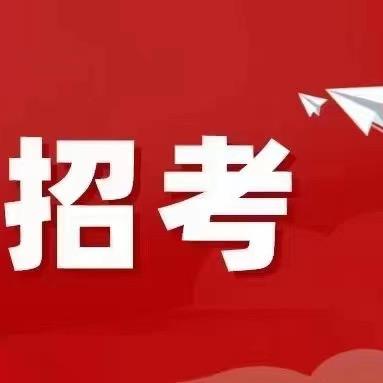 泰安考编找我贰号
