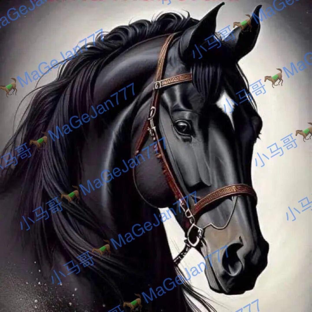 小马哥🧿MaGeJan
