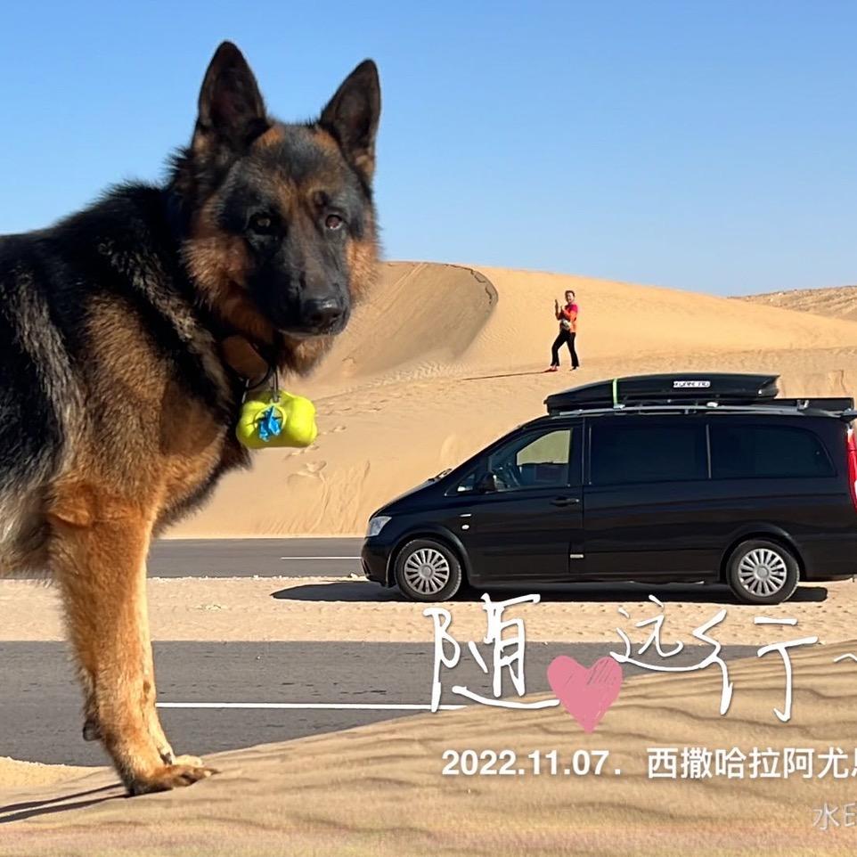 一句哈喽闯欧洲
