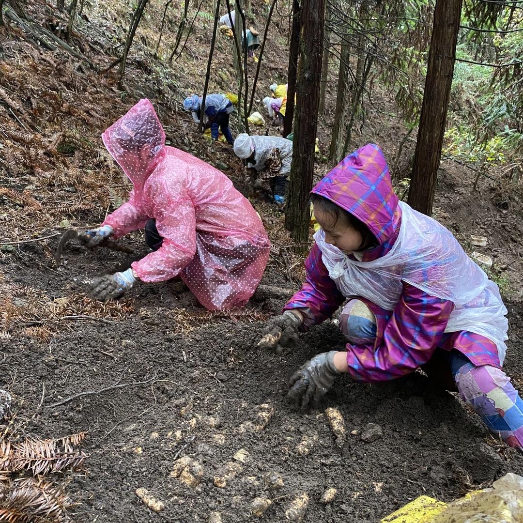 黎平青江农业天麻基地大号