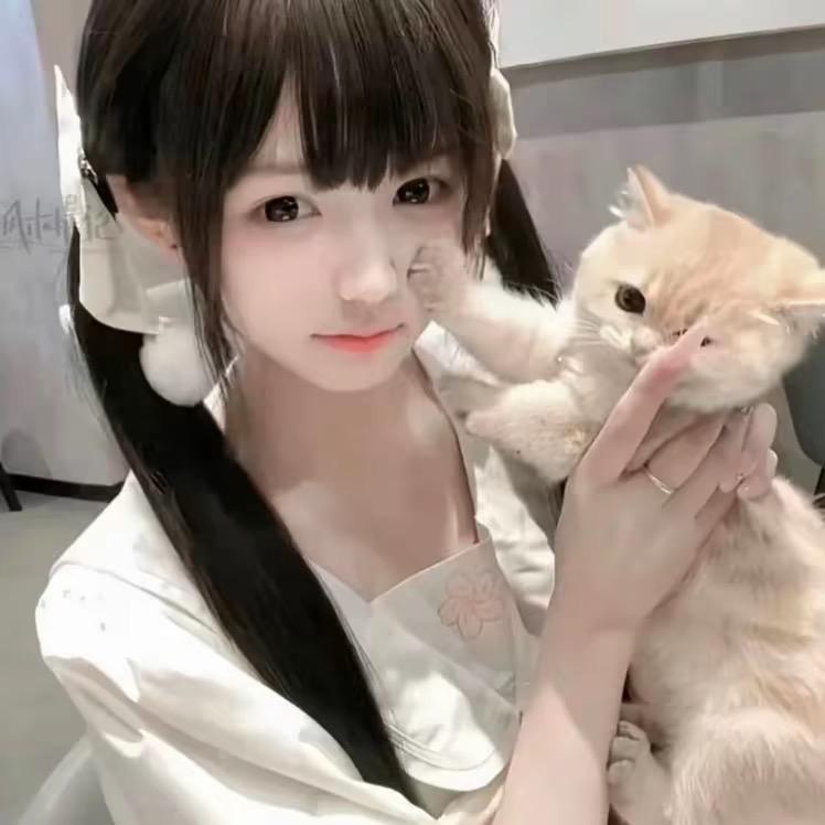 拽拽