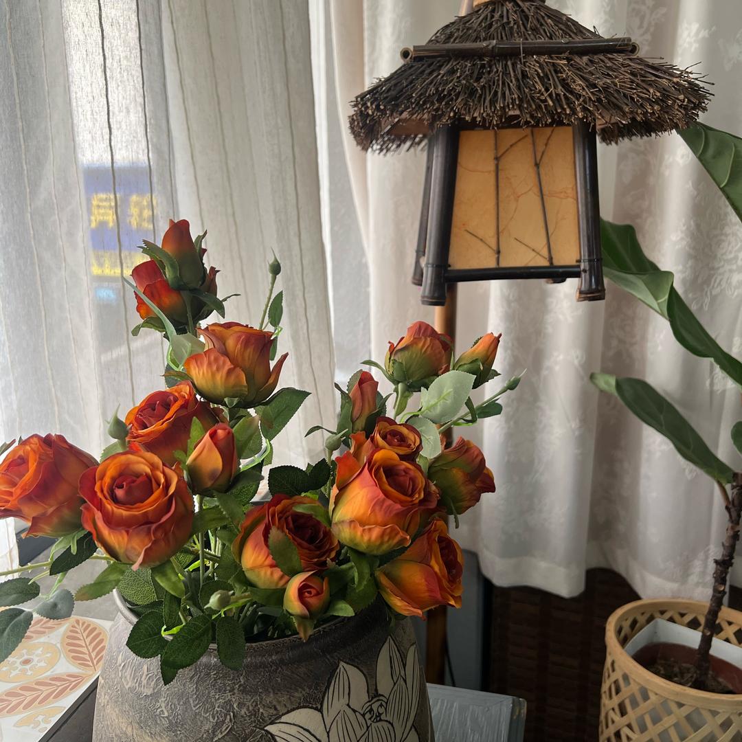 快乐储蓄罐🛍️