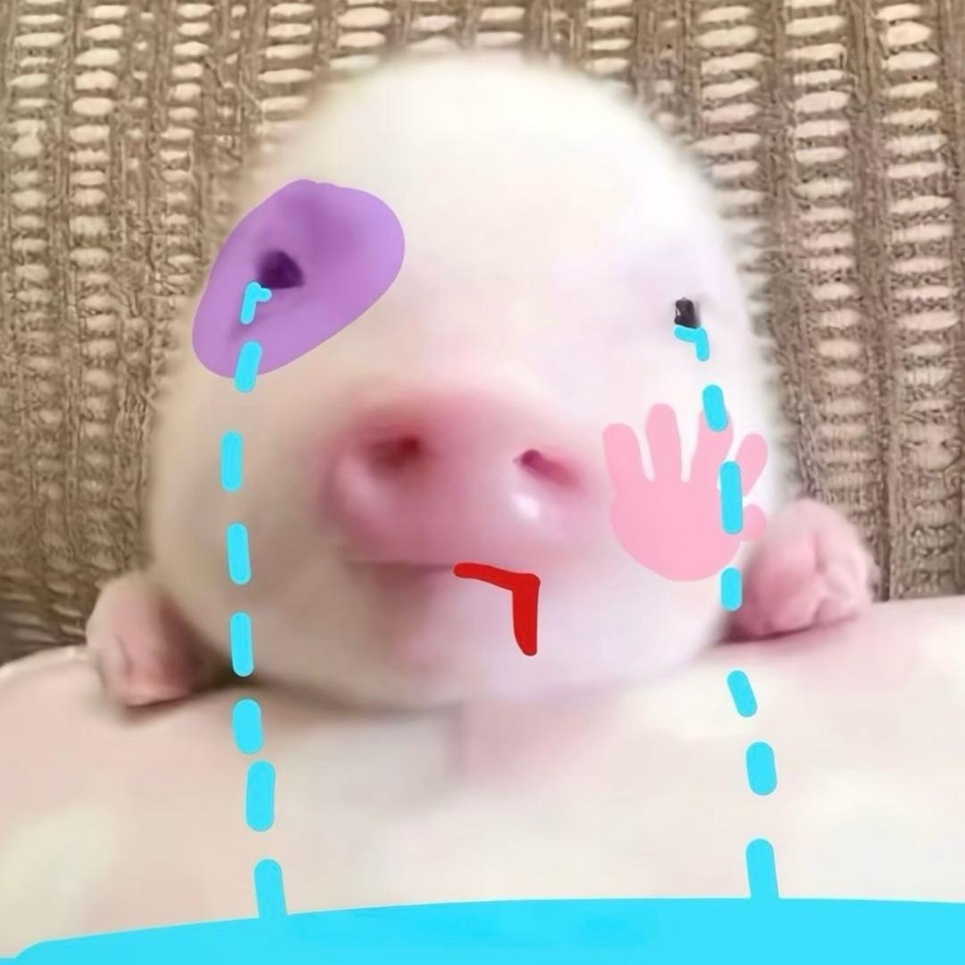 暴走的吮指原味鸡