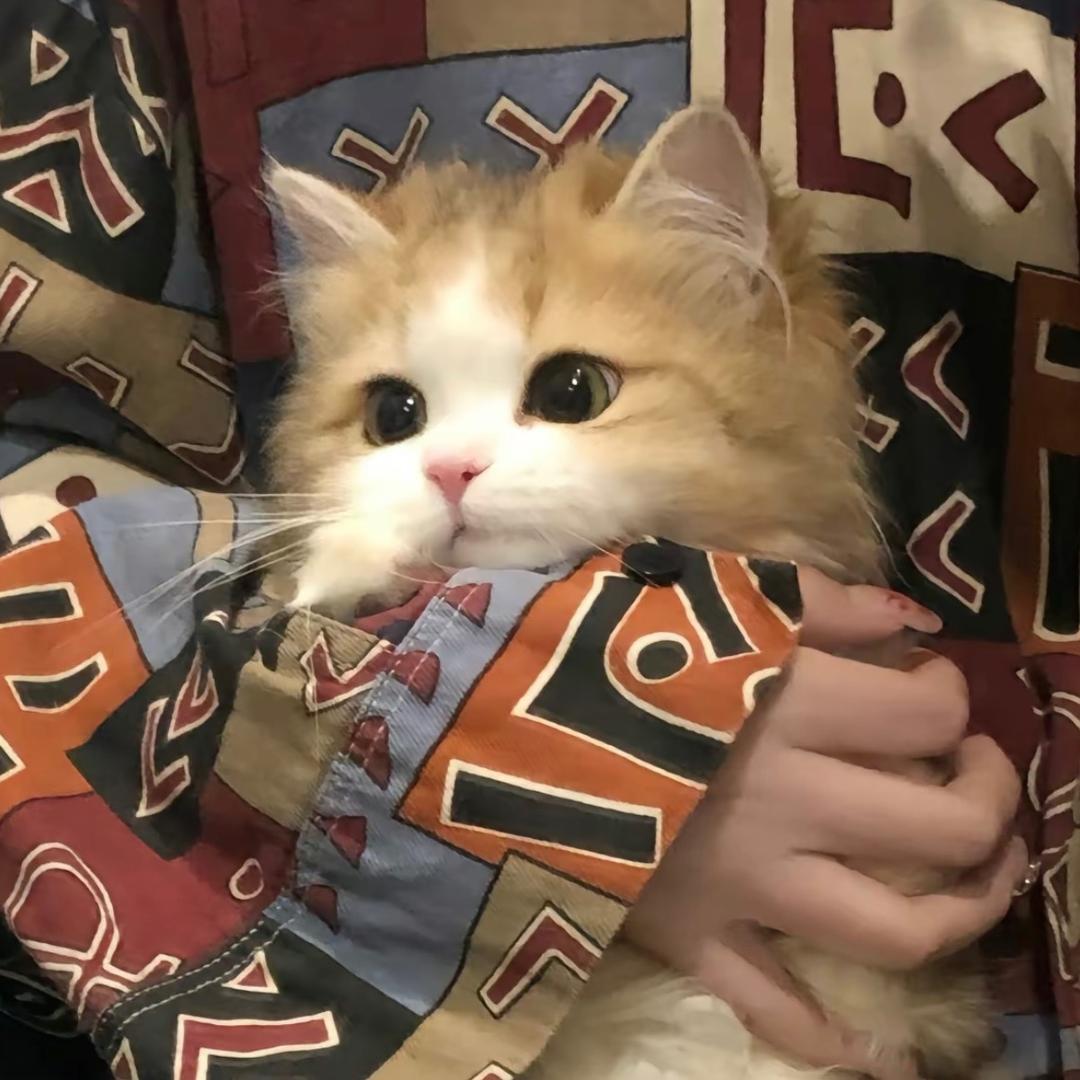 O^._.^O