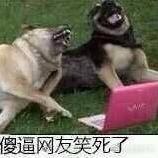 爪哥lolm
