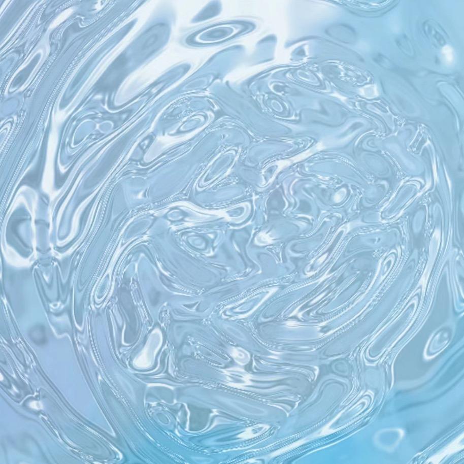 捡垃圾apple大王