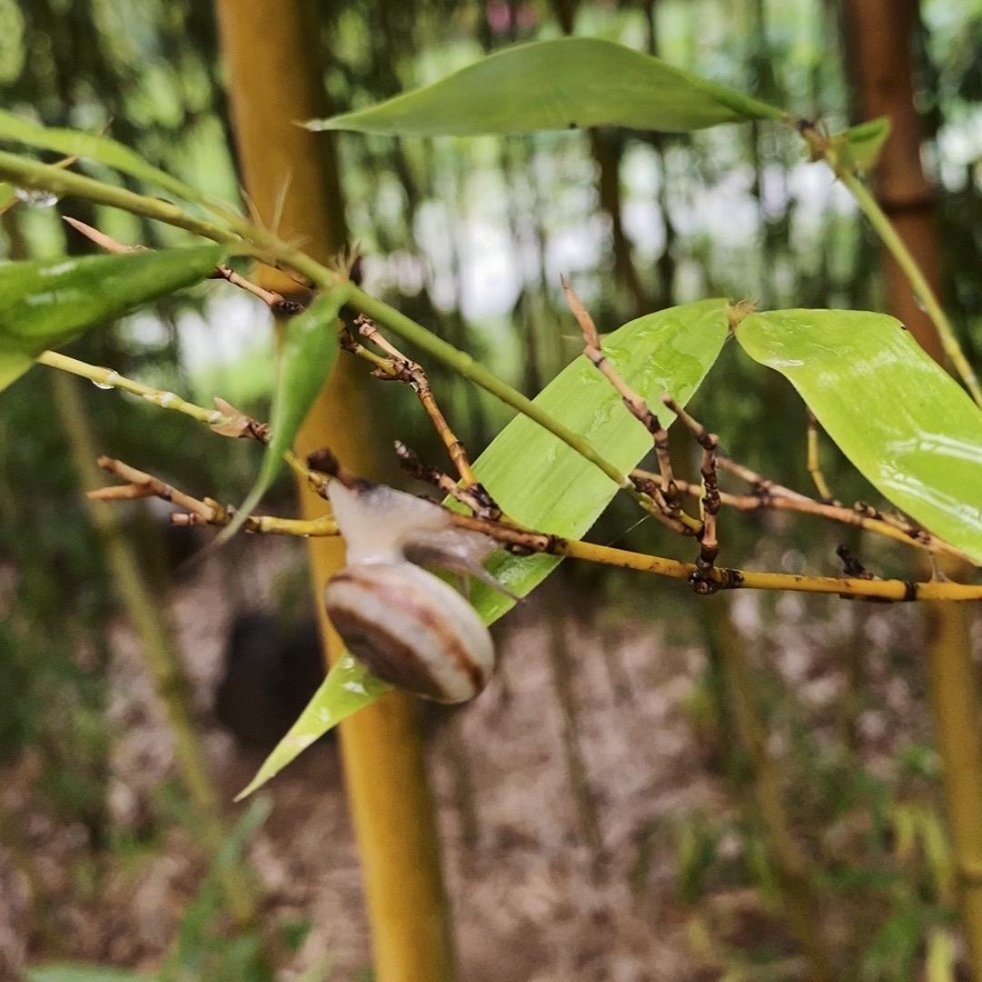 文案🌱