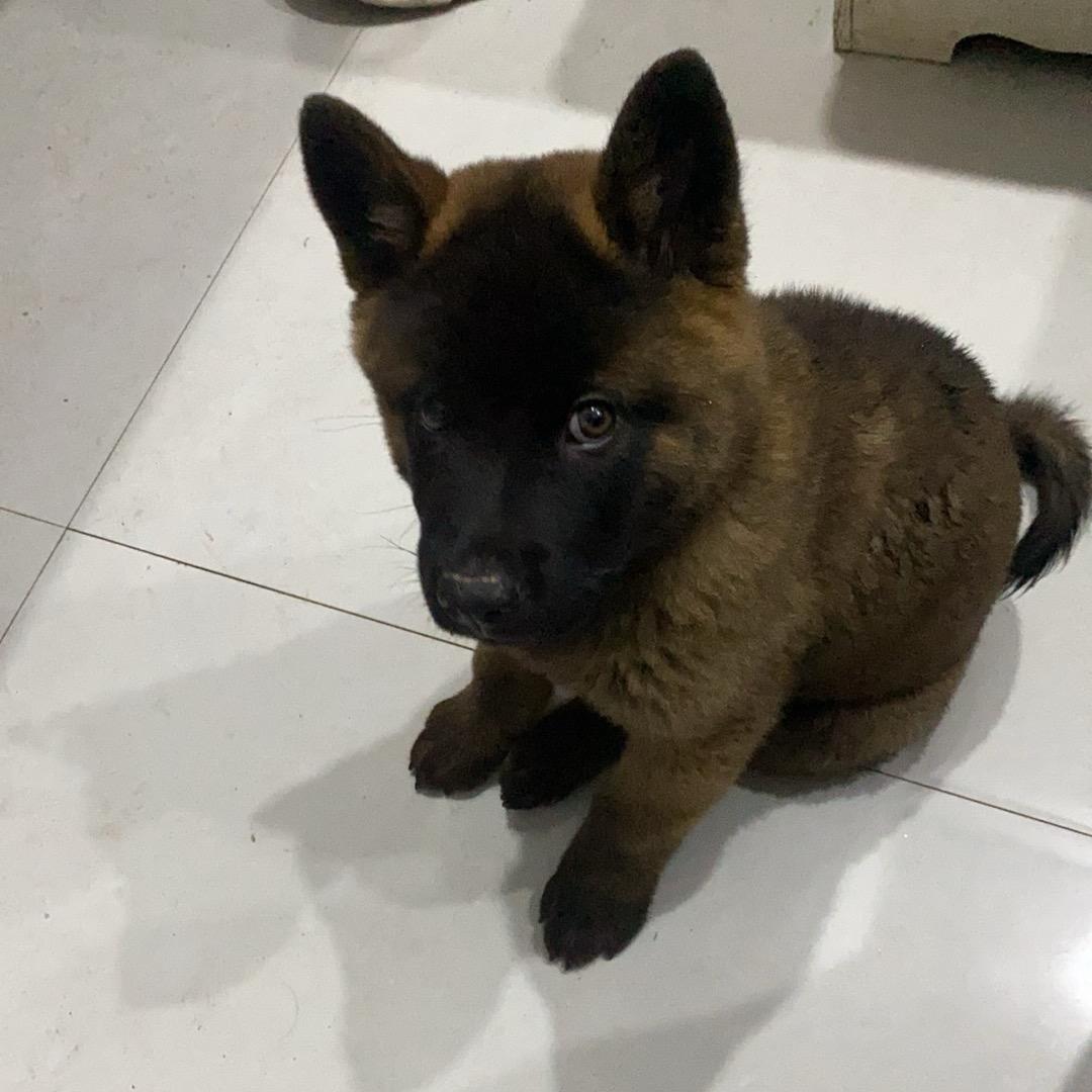 🐉易水萧风🐍