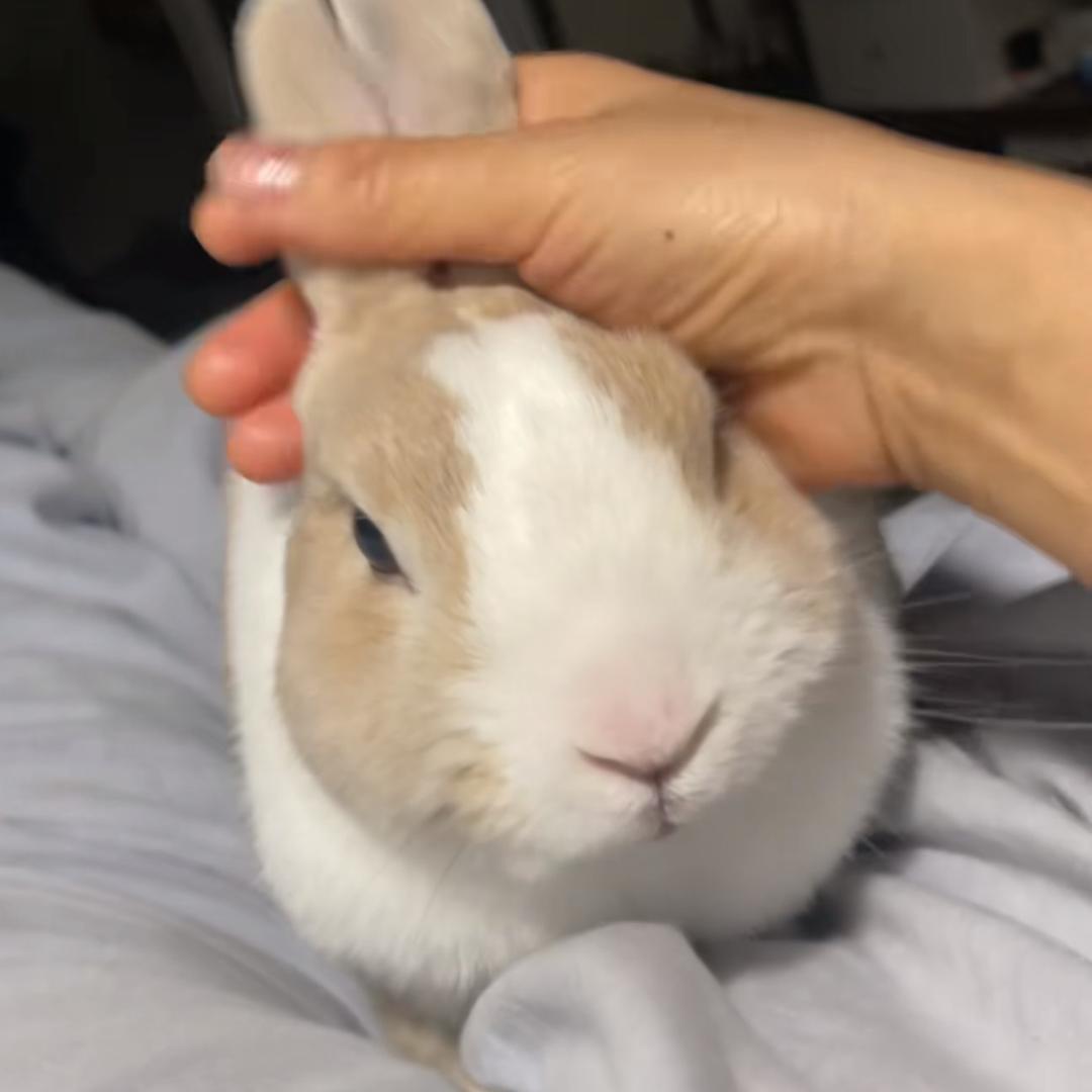 我们的时光